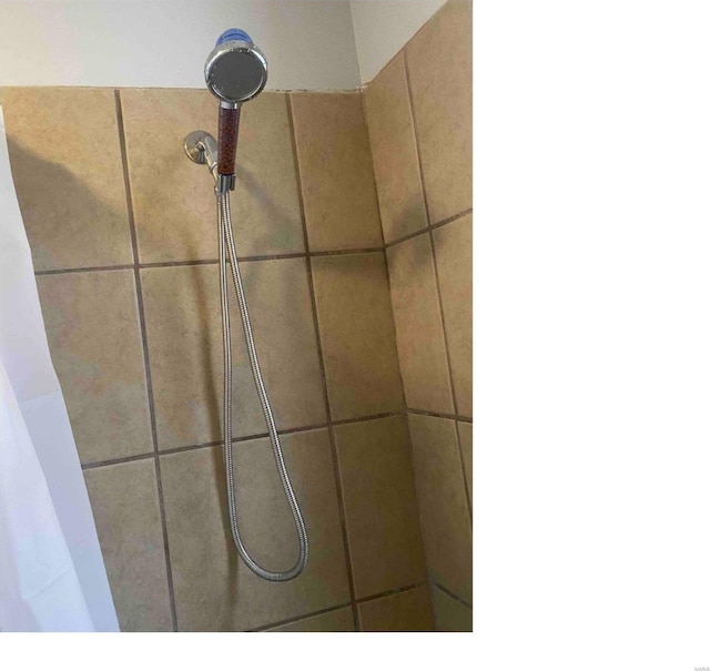 interior details featuring tiled shower