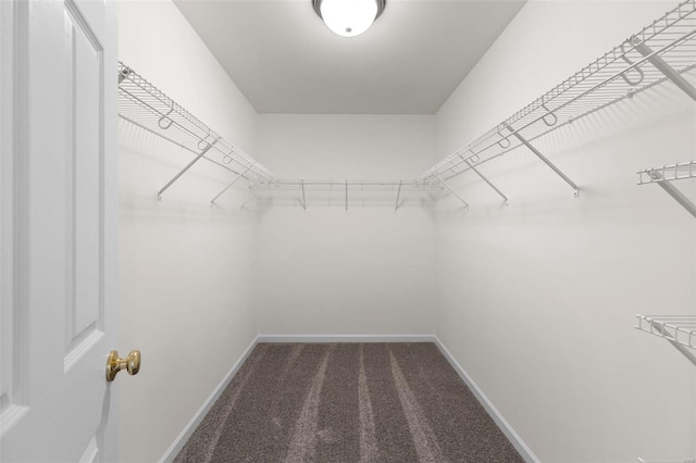 spacious closet with dark carpet