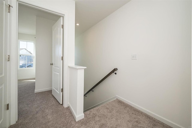 stairway featuring carpet floors