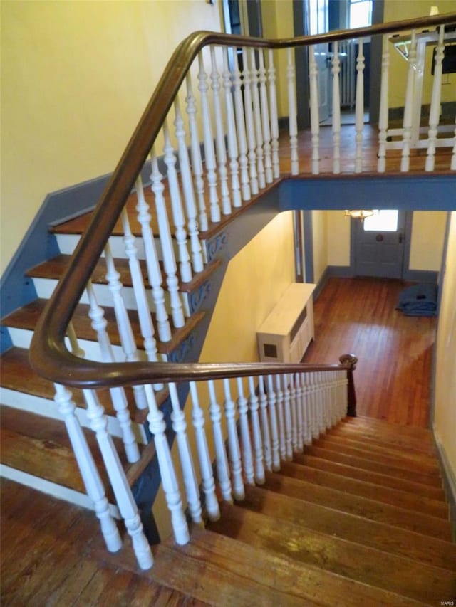 staircase featuring wood-type flooring