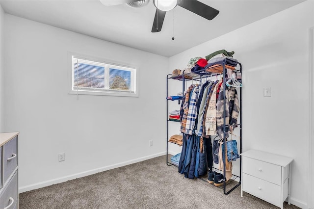 spacious closet featuring carpet and ceiling fan