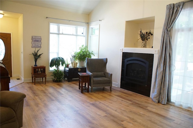 living area featuring lofted ceiling, wood-type flooring, and a fireplace