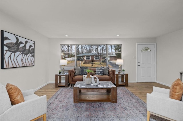 living room with wood-type flooring