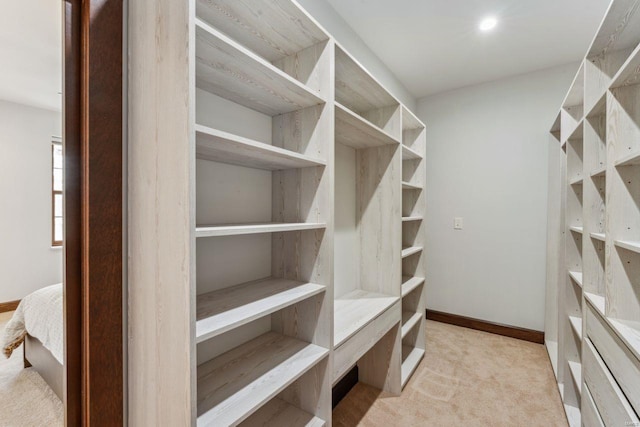 spacious closet with light carpet