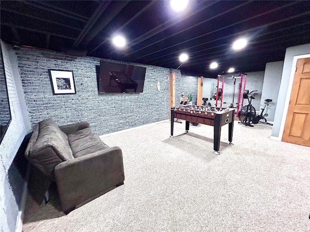 recreation room featuring carpet floors