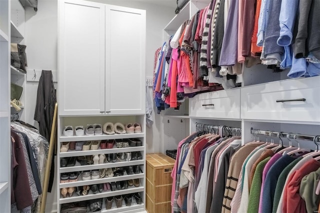 view of walk in closet