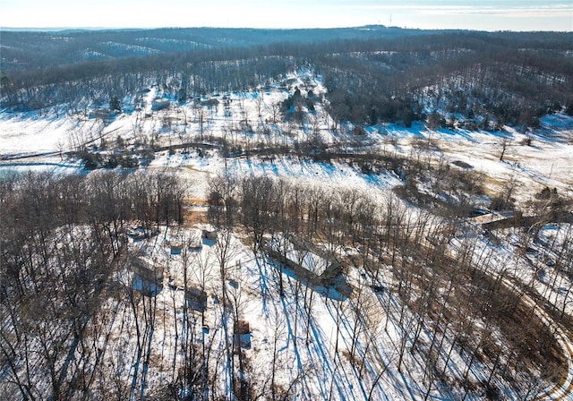 view of snowy aerial view