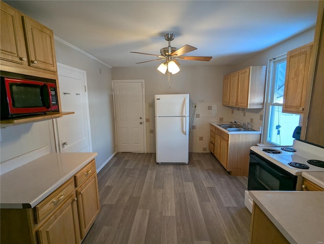 kitchen with light wood-type flooring, white appliances, ceiling fan, crown molding, and sink