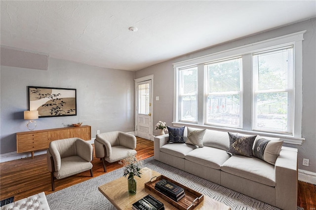 living room featuring hardwood / wood-style floors