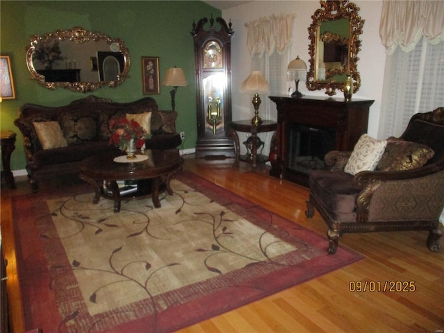 living room with wood-type flooring