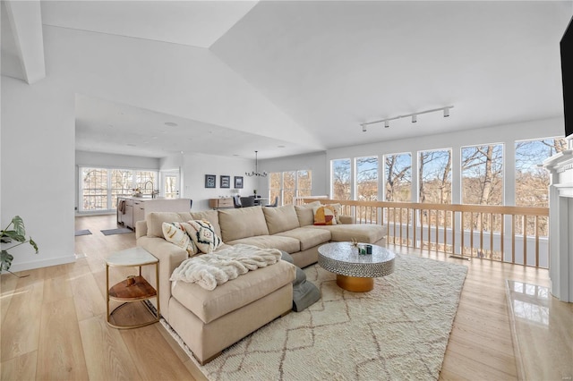 living room with light wood-type flooring, high vaulted ceiling, and rail lighting