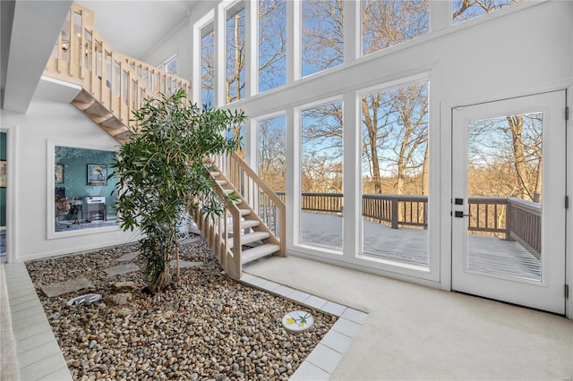 entryway with plenty of natural light and carpet