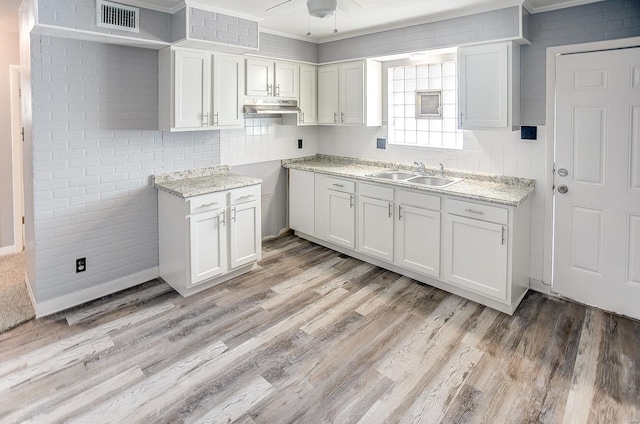 kitchen featuring ceiling fan, crown molding, sink, light hardwood / wood-style flooring, and white cabinetry