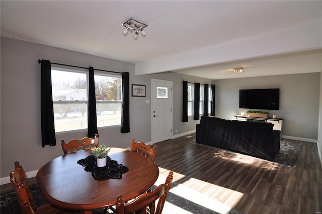 dining room with dark wood-type flooring