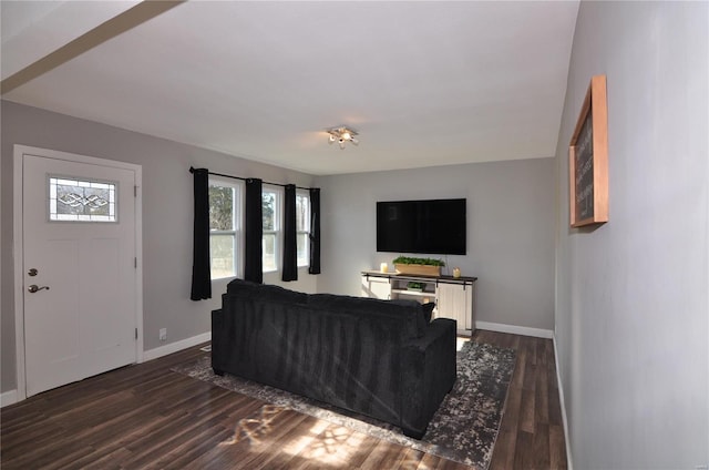 living room featuring dark hardwood / wood-style floors