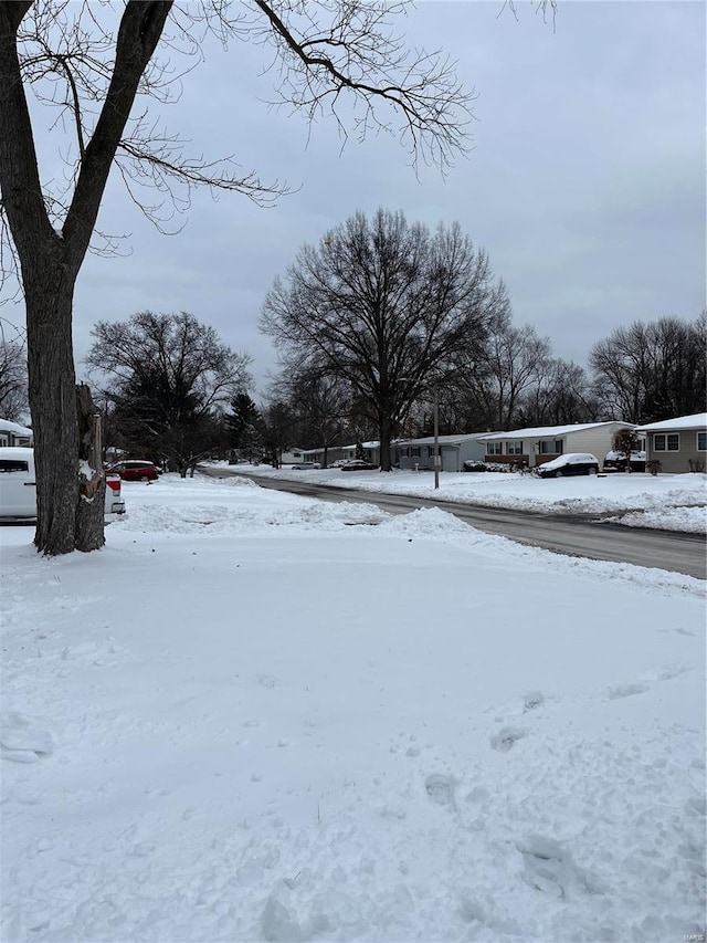 view of yard covered in snow