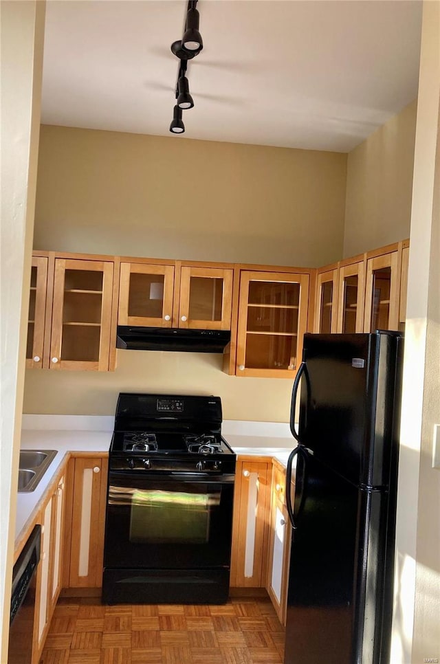 kitchen with black appliances, track lighting, sink, and light parquet floors