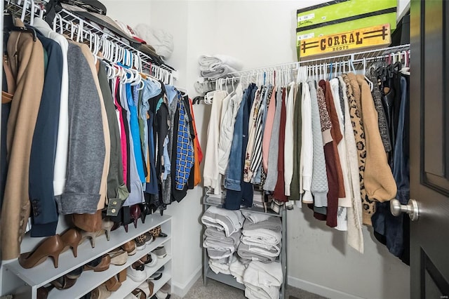 view of spacious closet