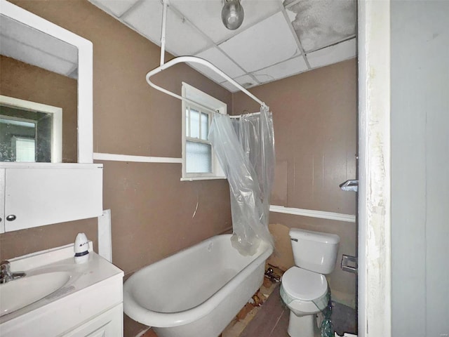 full bathroom featuring a paneled ceiling, shower / bath combo with shower curtain, vanity, and toilet