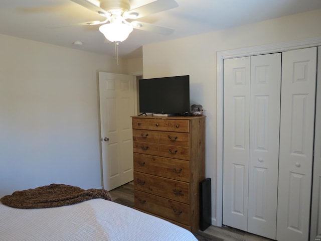 bedroom with wood-type flooring, ceiling fan, and a closet