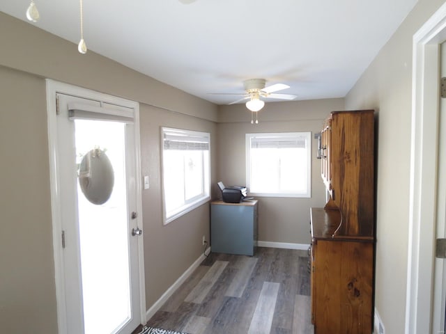 interior space with ceiling fan and dark hardwood / wood-style flooring