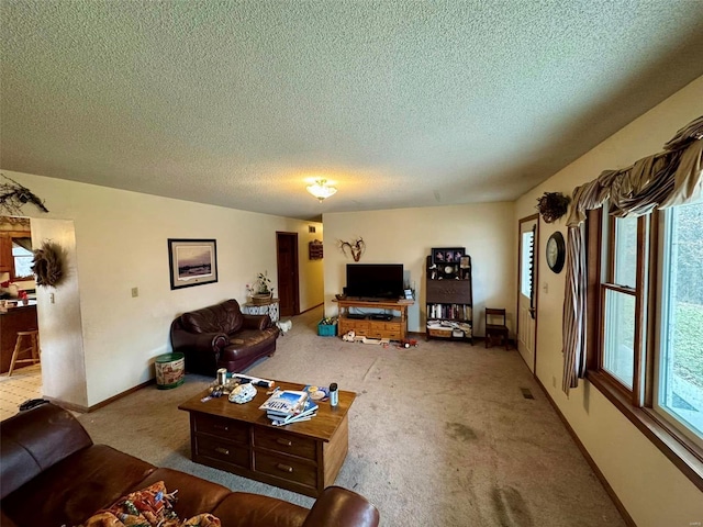 living room with a textured ceiling and light colored carpet