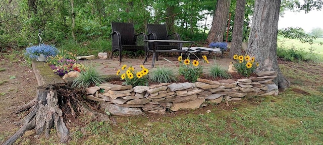 view of yard featuring a patio