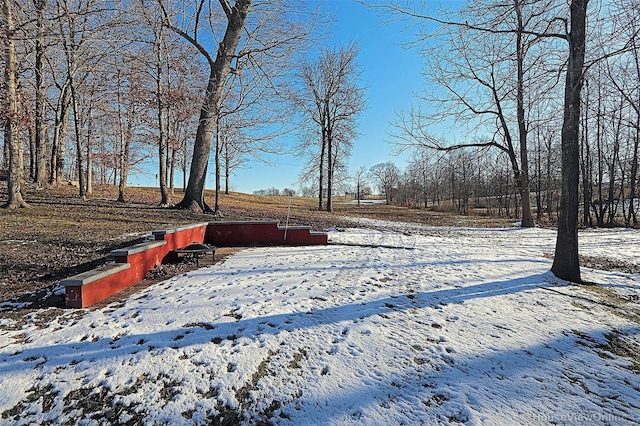 view of yard layered in snow