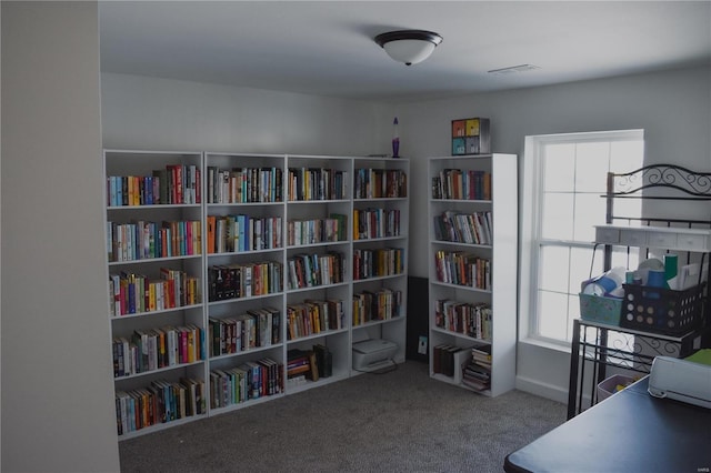 interior space with carpet and plenty of natural light