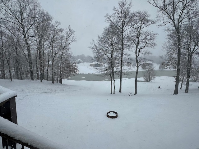 view of yard covered in snow