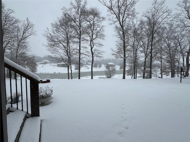 view of yard layered in snow