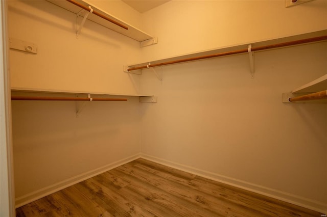 walk in closet featuring hardwood / wood-style floors