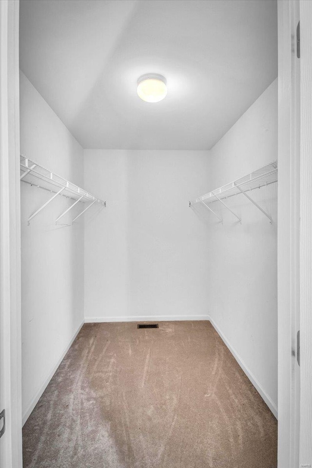 walk in closet featuring carpet floors