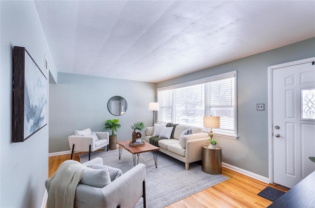 living room with light hardwood / wood-style floors