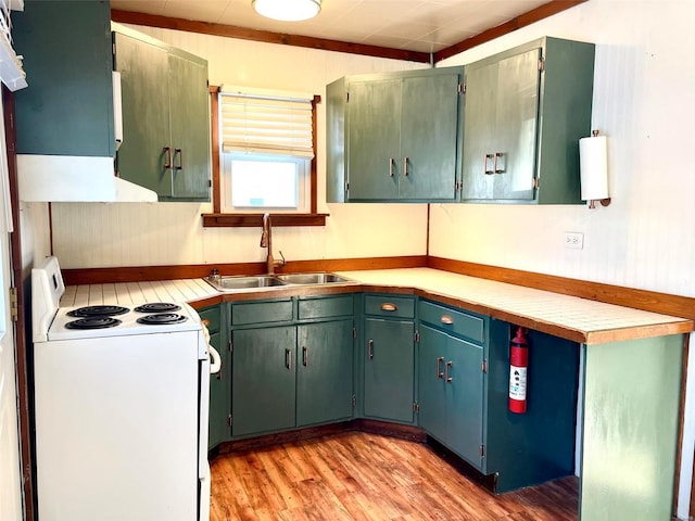 kitchen featuring sink, white range with electric stovetop, crown molding, and light hardwood / wood-style flooring