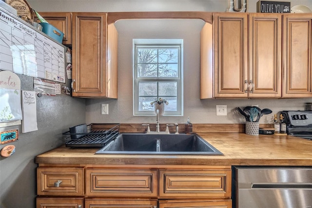 kitchen featuring sink and stainless steel dishwasher