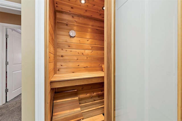 view of sauna with carpet flooring