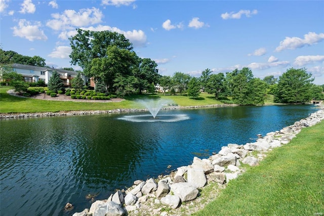 view of water feature