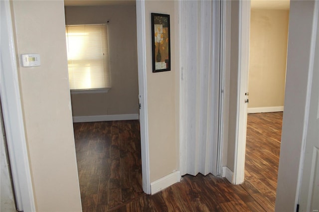 hall with dark hardwood / wood-style flooring