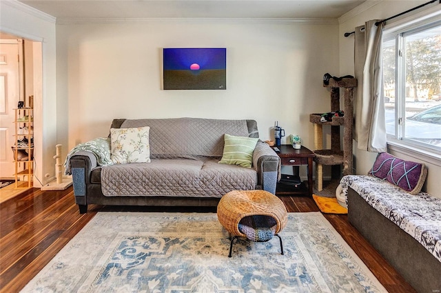 living room with dark wood-type flooring and ornamental molding