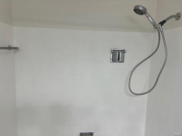 interior details with tiled shower