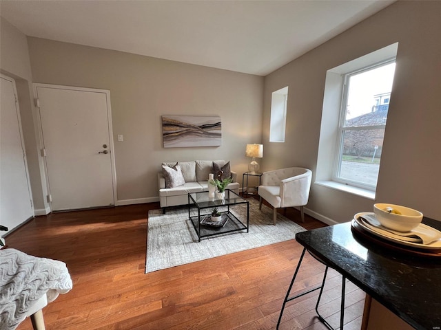 living room with hardwood / wood-style floors