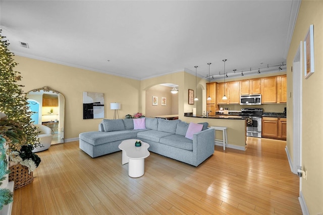 living room with light hardwood / wood-style floors, rail lighting, and ornamental molding