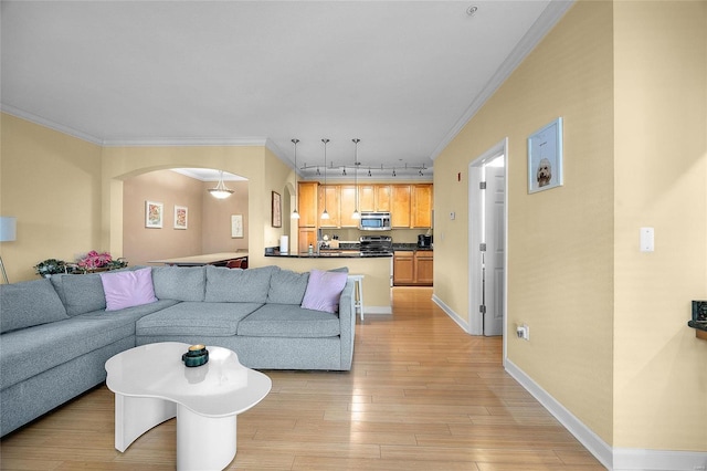 living room featuring light wood-type flooring, ornamental molding, and rail lighting