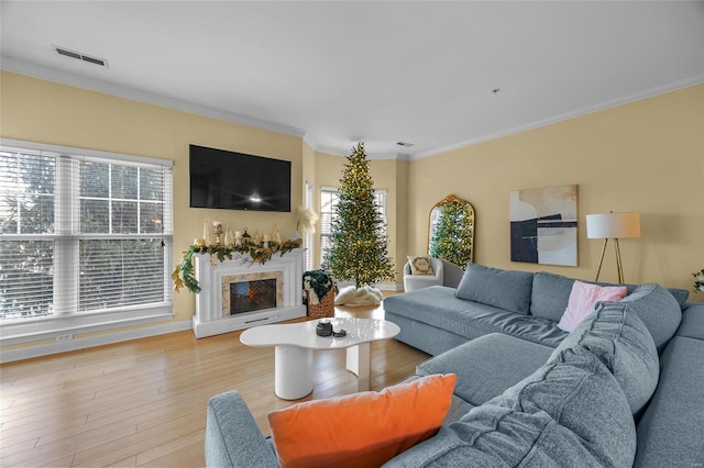 living room with ornamental molding, light hardwood / wood-style floors, and a fireplace