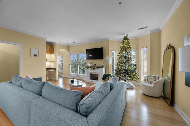 living room featuring crown molding and light hardwood / wood-style flooring