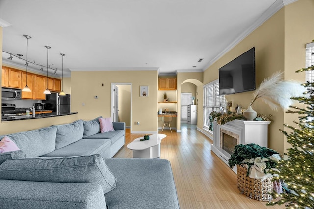 living room featuring light wood-type flooring, track lighting, and crown molding