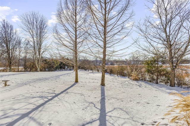 view of yard covered in snow