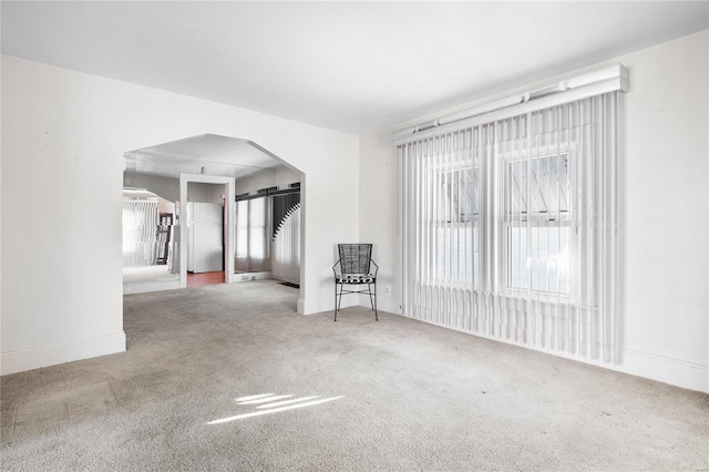 spare room featuring a wealth of natural light and carpet