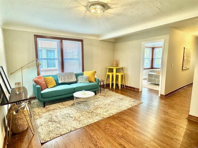 living room featuring hardwood / wood-style flooring